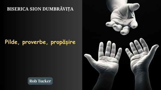 pilde proverbe propasire